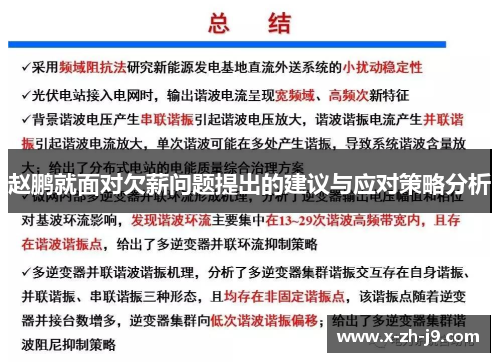 赵鹏就面对欠薪问题提出的建议与应对策略分析