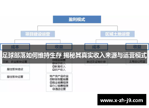 足球部落如何维持生存 揭秘其真实收入来源与运营模式