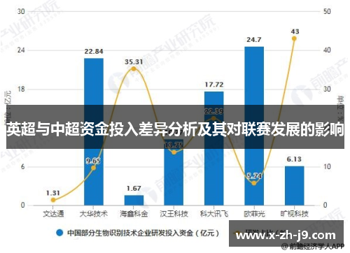 英超与中超资金投入差异分析及其对联赛发展的影响