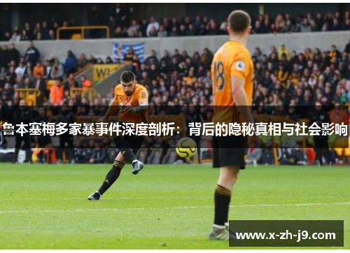 鲁本塞梅多家暴事件深度剖析：背后的隐秘真相与社会影响